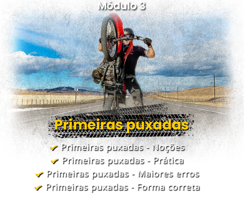 Módulo 3