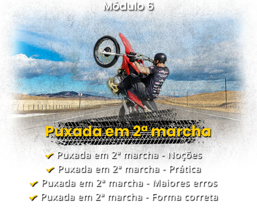 Módulo 6