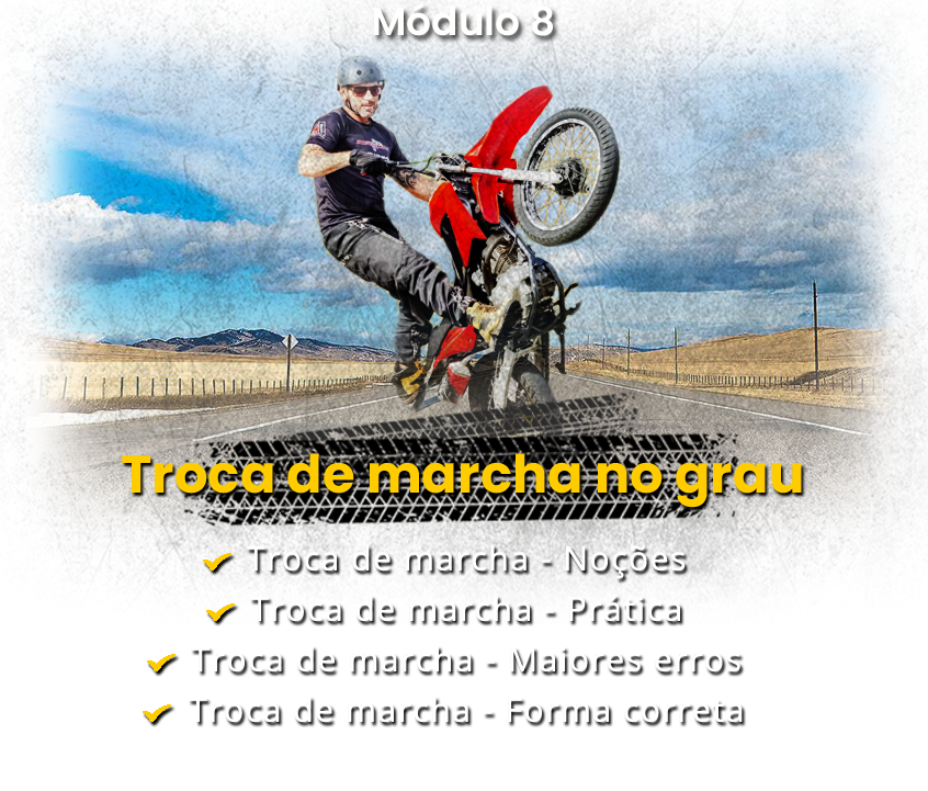 Módulo 8