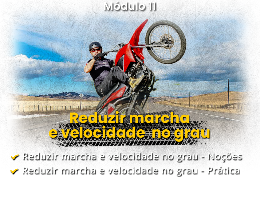 Módulo 11